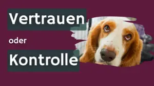 Beitragsbild mit Hund und der Aufschrift „Vertrauen oder Kontrolle“ zum Thema Hausbesichtigung und Betreuung von Hunden.