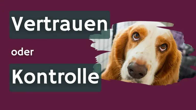 Beitragsbild mit Hund und der Aufschrift „Vertrauen oder Kontrolle“ zum Thema Hausbesichtigung und Betreuung von Hunden.
