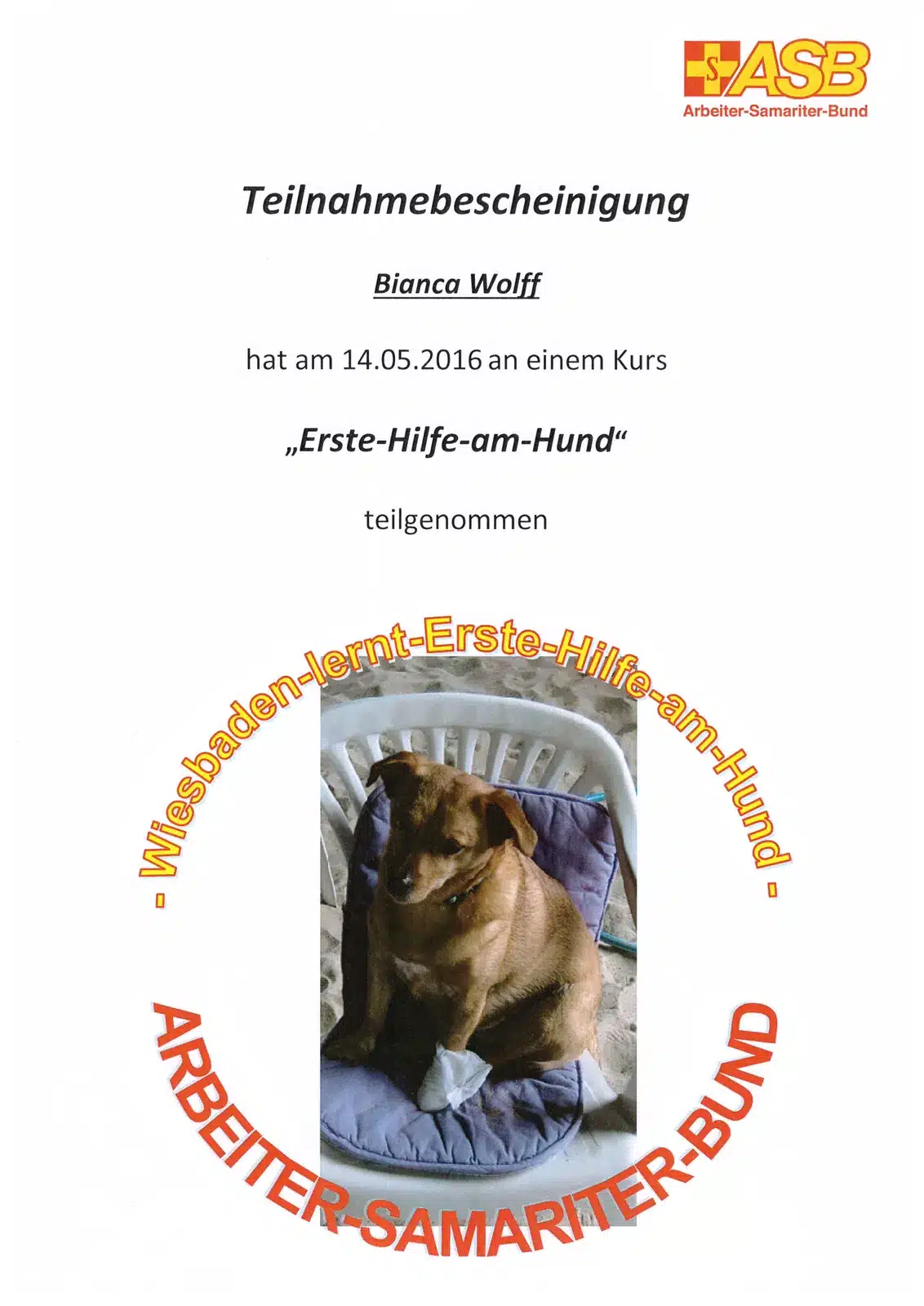 Erste-Hilfe-Bescheinigung am Hund von Bianca Wolff