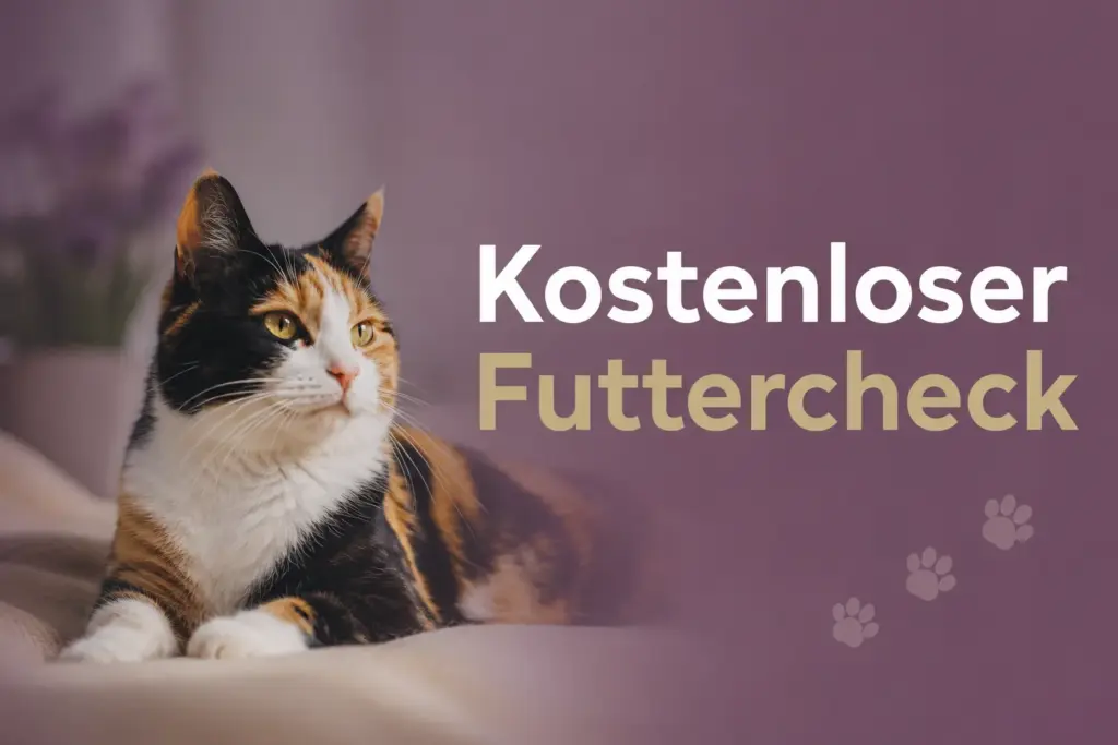 Kostenloser Futtercheck für deine Katze