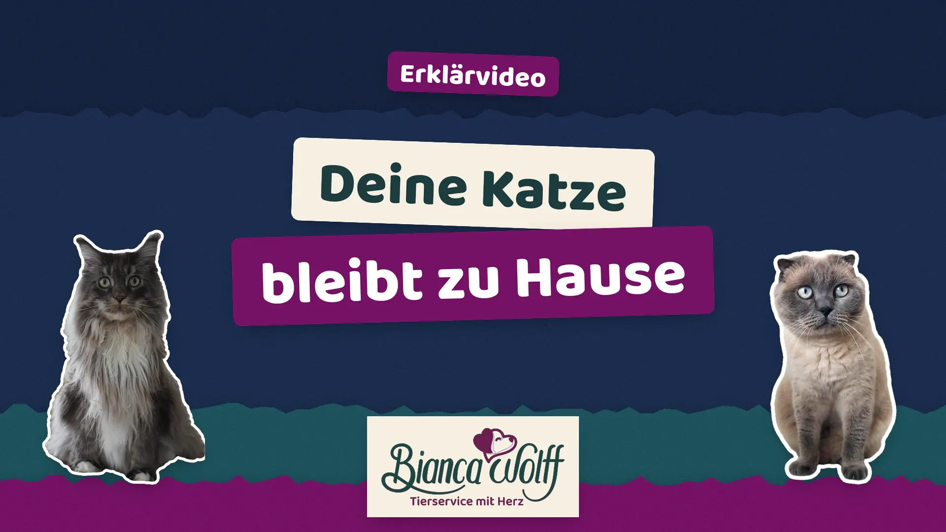 Mobile Katzenbetreuung