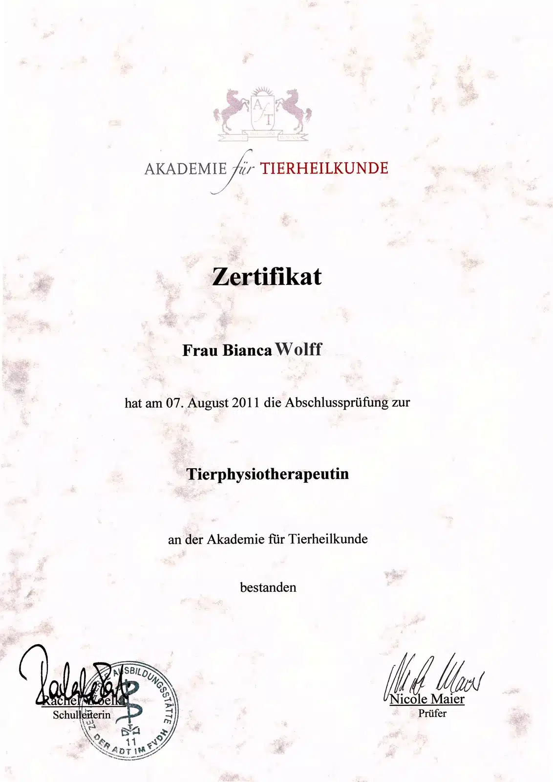Zertifikat über den Abschluss zur Tierphysiotherpeutin