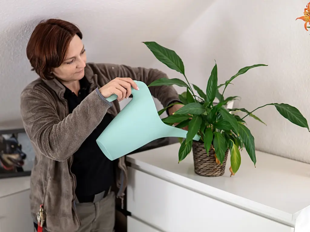Bianca Wolff gießt eine Zimmerpflanze während eines Betreuungstermins.