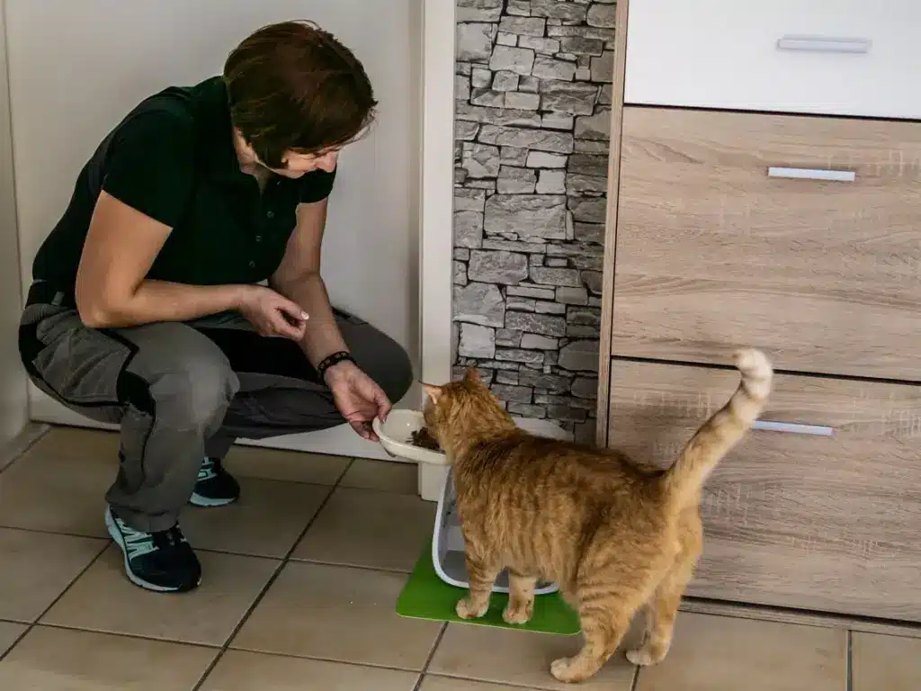 Katzensitterin Bianca Wolff reicht einer Katze gesundes Futter.