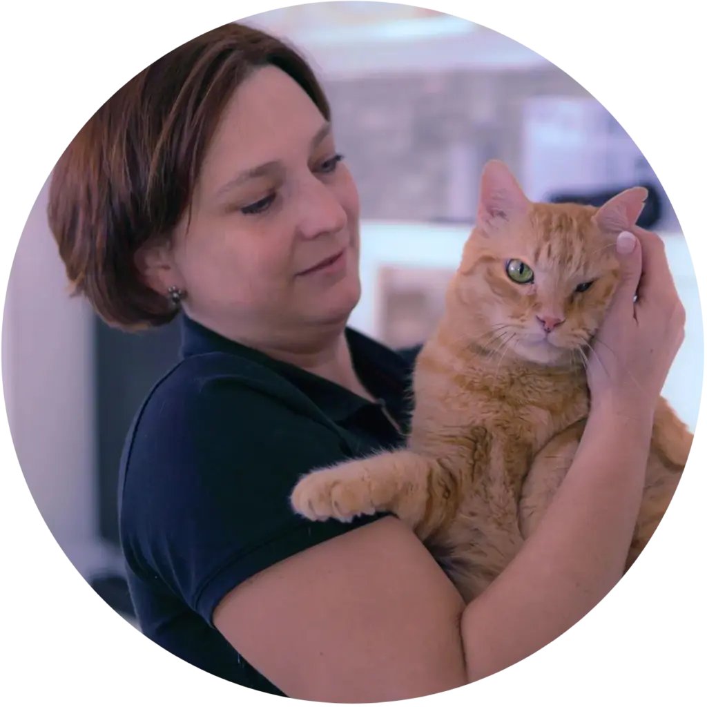 Bianca Wolff hält eine Katze auf dem Arm. Portraitbild für mobile Katzenbetreuung.