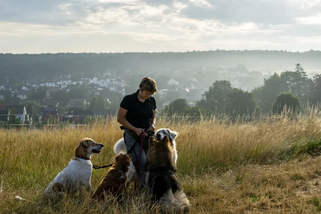 Bianca Wolff sitzt mit mehreren Hunden auf einer Wiese im wunderschönen Taunus.