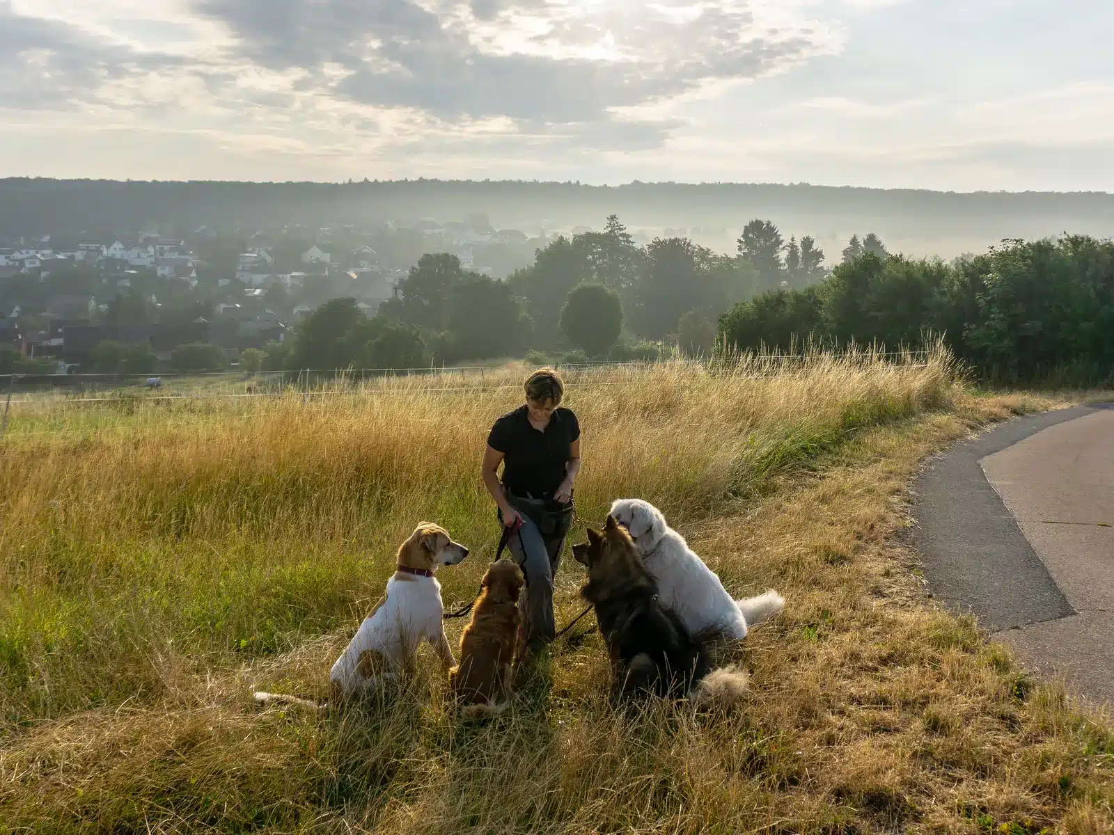Bianca Wolff steht im Feld mit vier angeleinten Hunden, die ruhig vor ihr sitzen, und zeigt eine harmonische Hundegruppe in der Hundebetreuung im Rhein-Main-Gebiet.