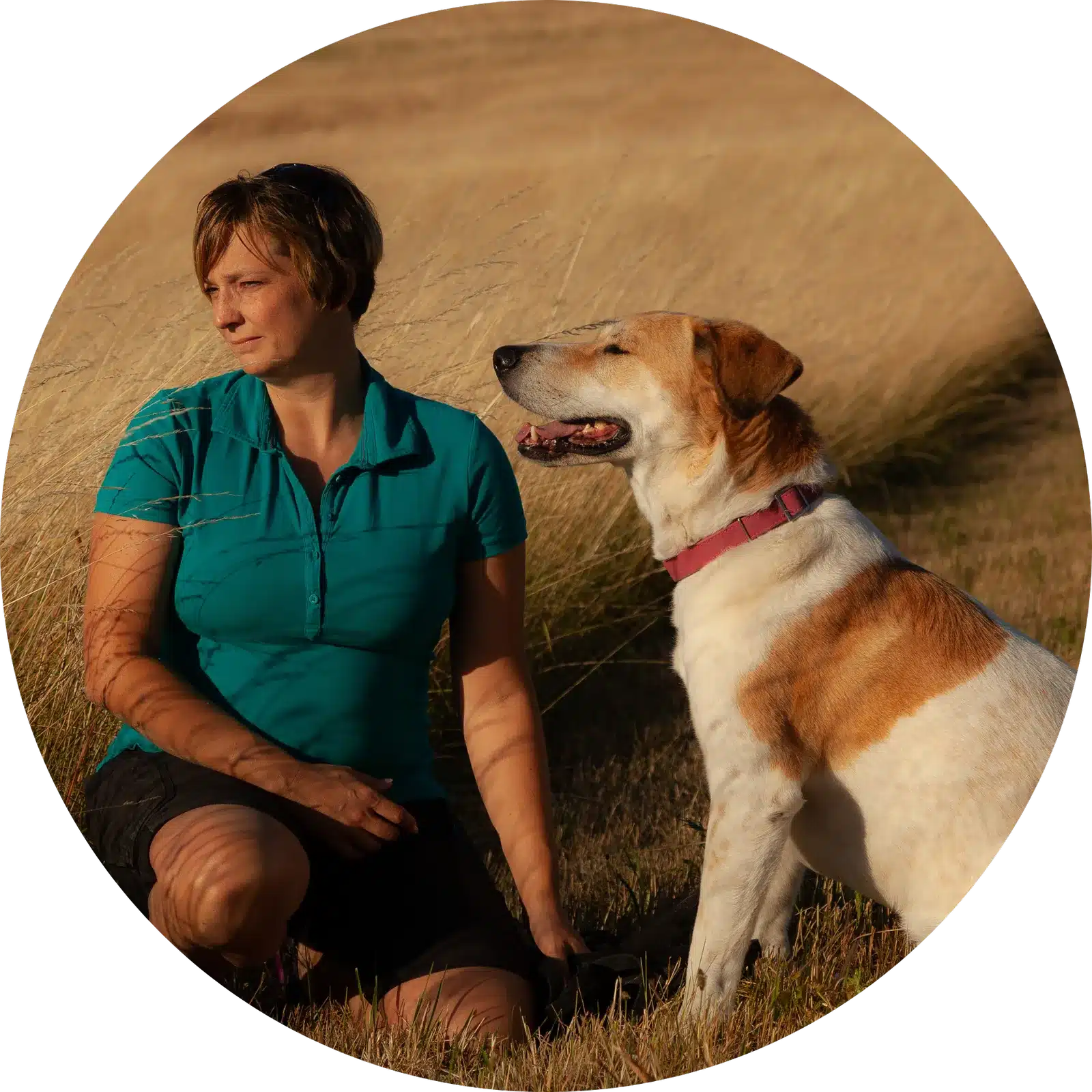 Bianca Wolff (Inhaberin Hundepension) steht mit einem Gasthund in der goldenen Abendsonne am Mensfelder Kopf bei Hünfelden und blickt gemeinsam mit ihm in die Ferne.